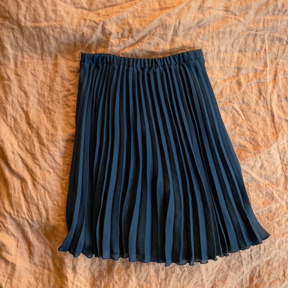 Pleated Skirt